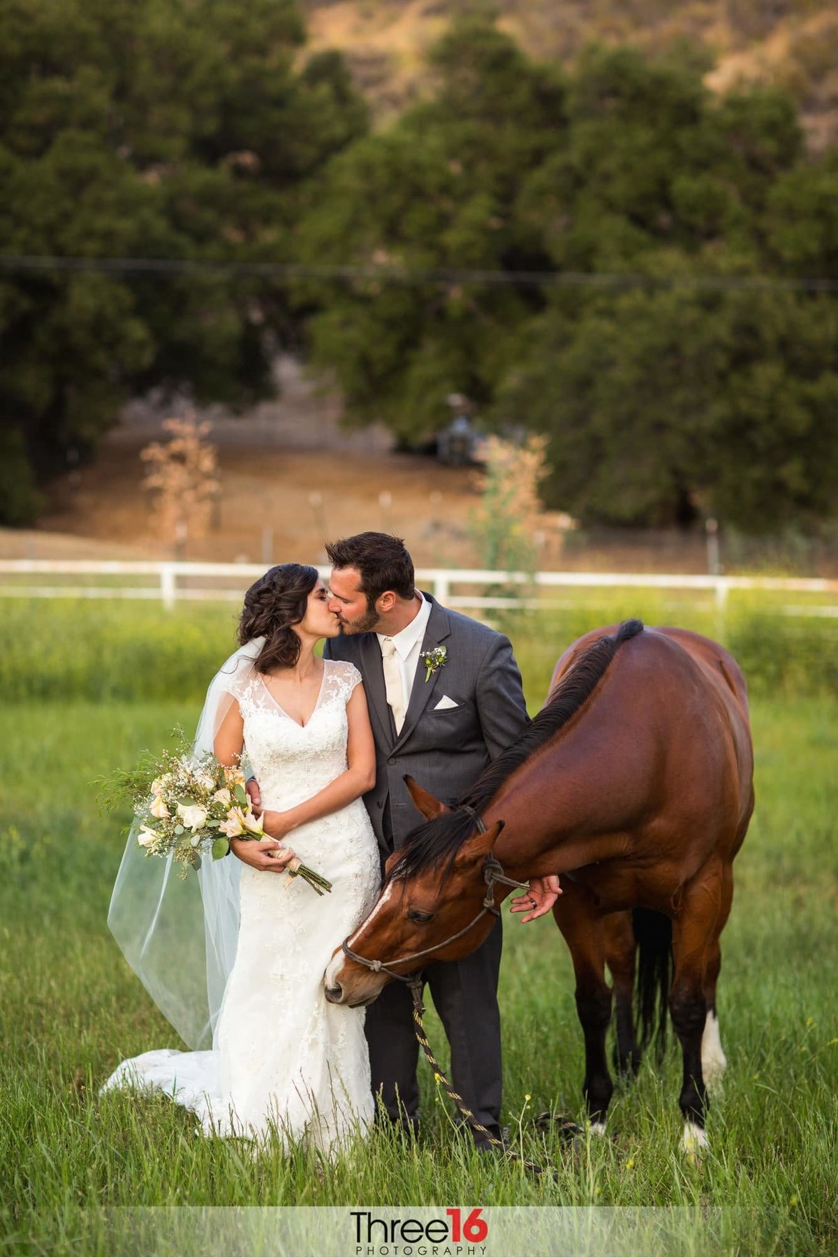 Bride and Groom share a kiss in a grassy field standing next to a horse at the Hold Out Ranch wedding venue