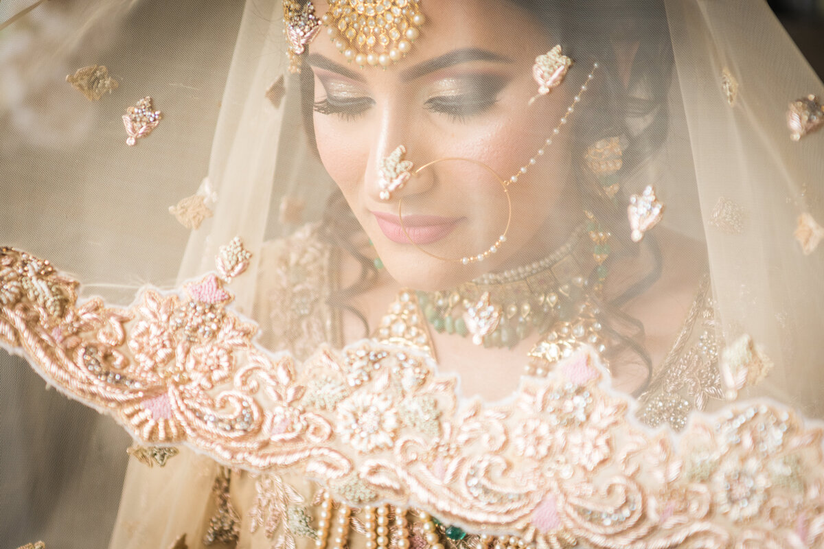 Indian Bride with Veil