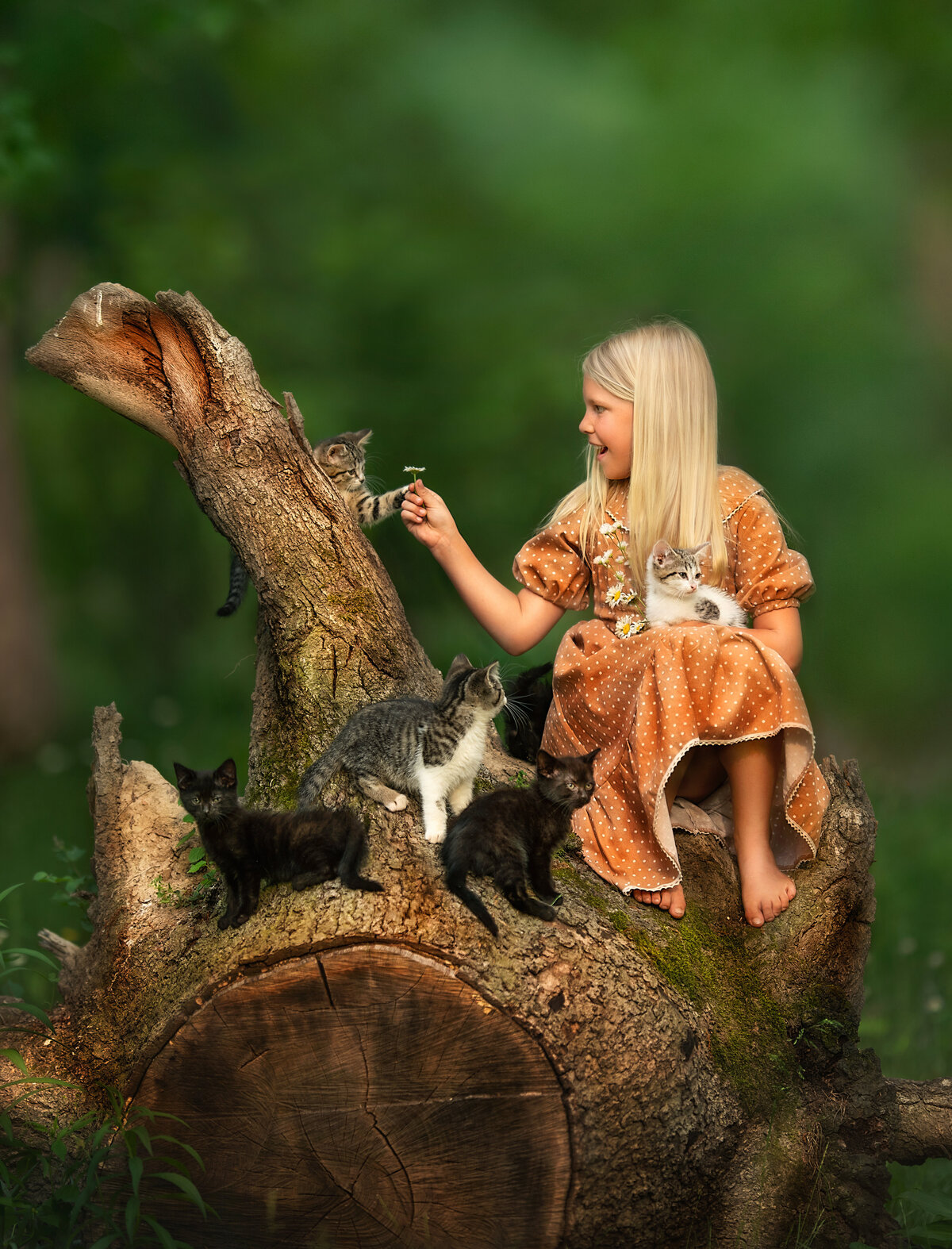 blonde girl in vintage style dress sitting on a tree stump and playing with cats.