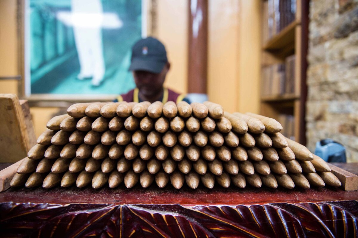 dozens of cigars stacked in front of a man who hand rolls them  in Little Havana