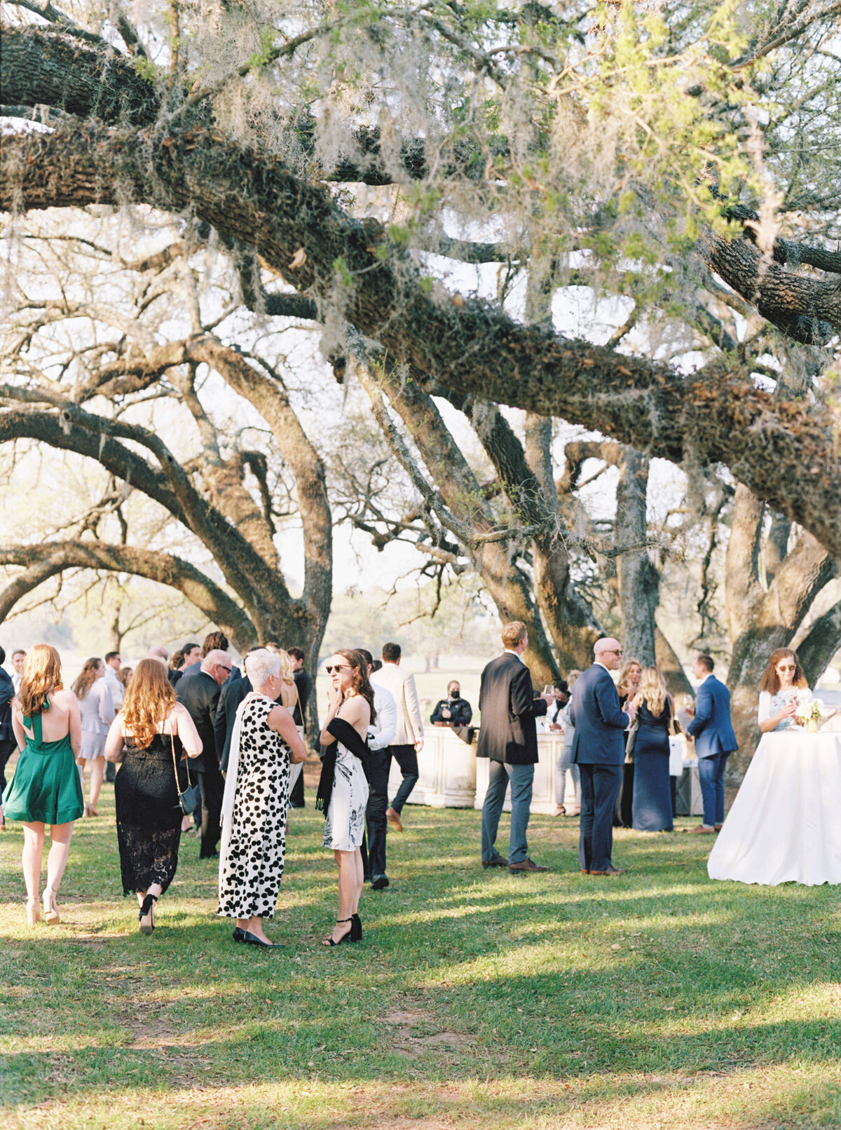 Houston-Oaks-Wedding-Houston-Wedding-Photographer-Mackenzie-Reiter-Photography-61