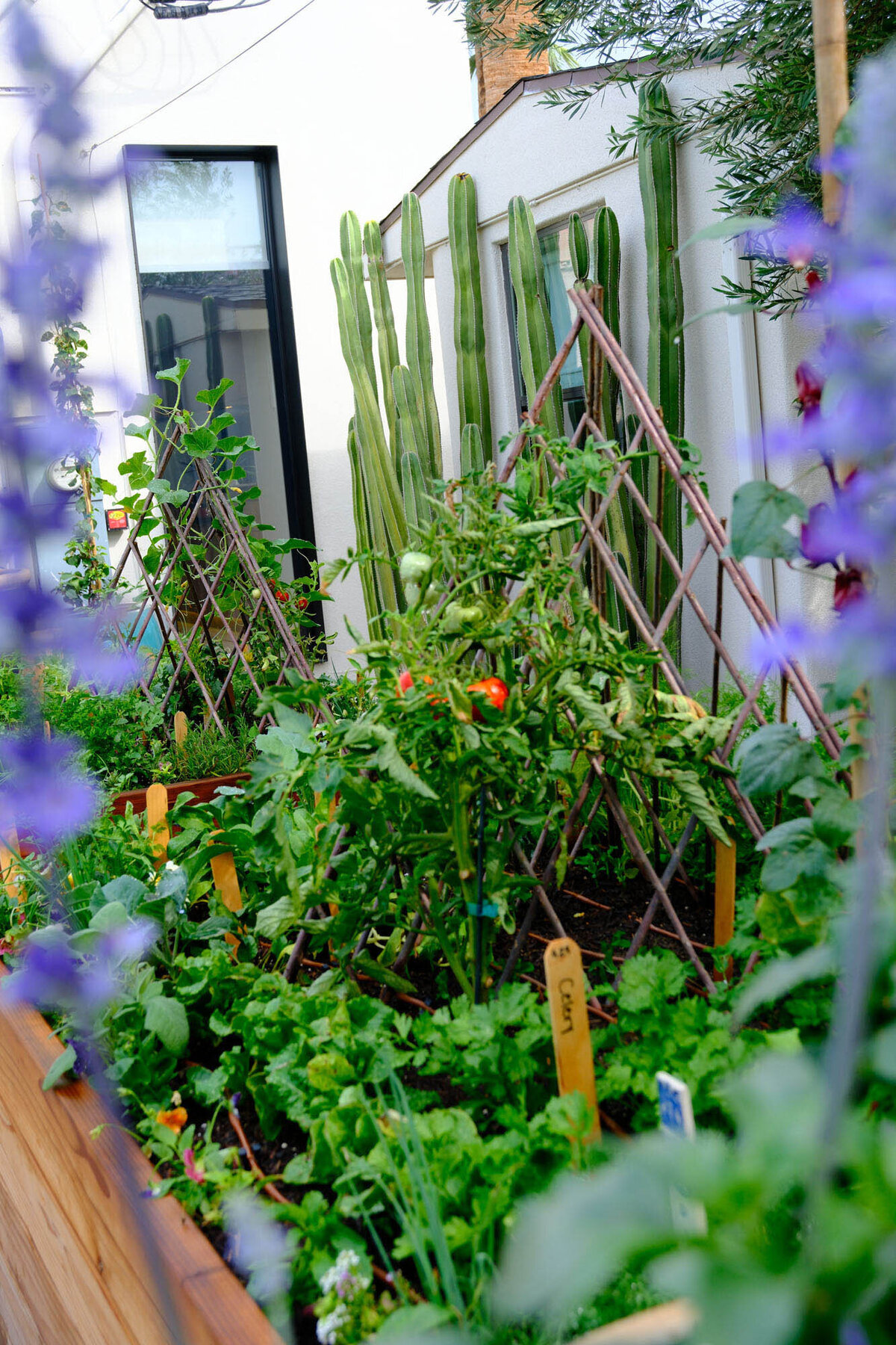 Willows-Garden-Le-Potager21