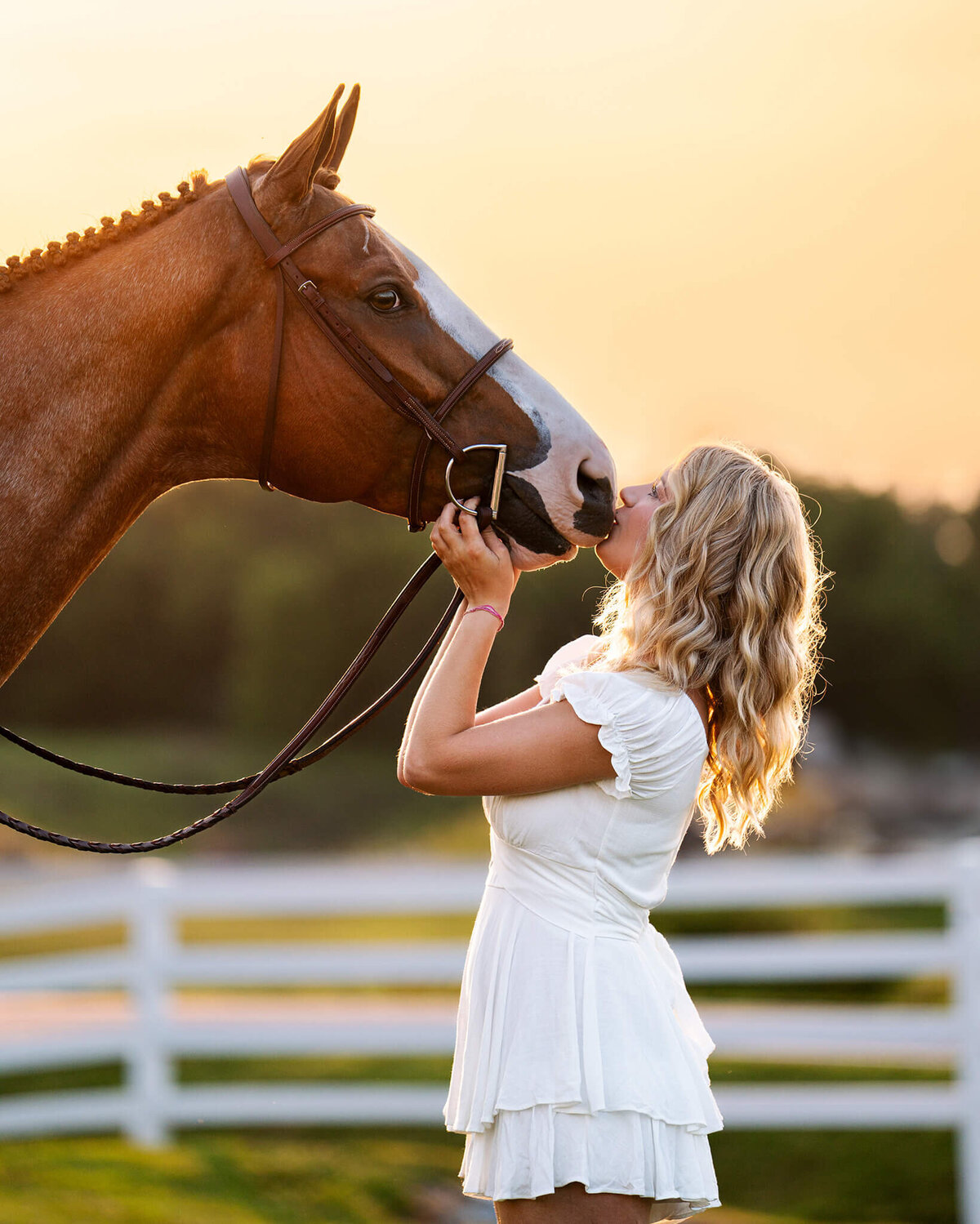 young blonde equestrian in a white jumper suit holding and kissing her chestnut paint horse face. behind them is beautiful white fence, trees, and golden hour sun.