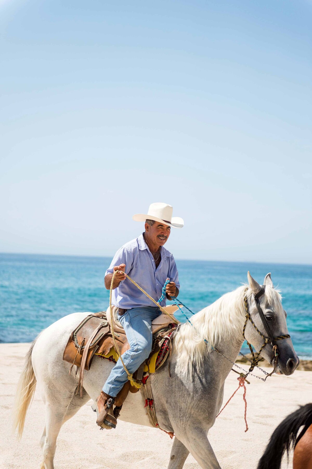 A man in Baja rides hours on beach to offer horseback rides to tourists