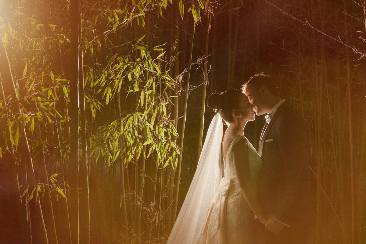 fotografia de boda con bambus, off-camera flash, fotografo de boda Aranjuez, jardin del principe, patrimonio Nacional