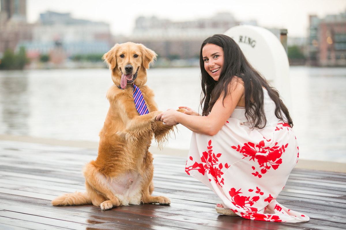 Dog-wearing-tie-Tide-Point-Engagement-Session