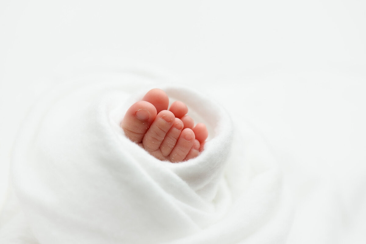 newborn baby macro toes