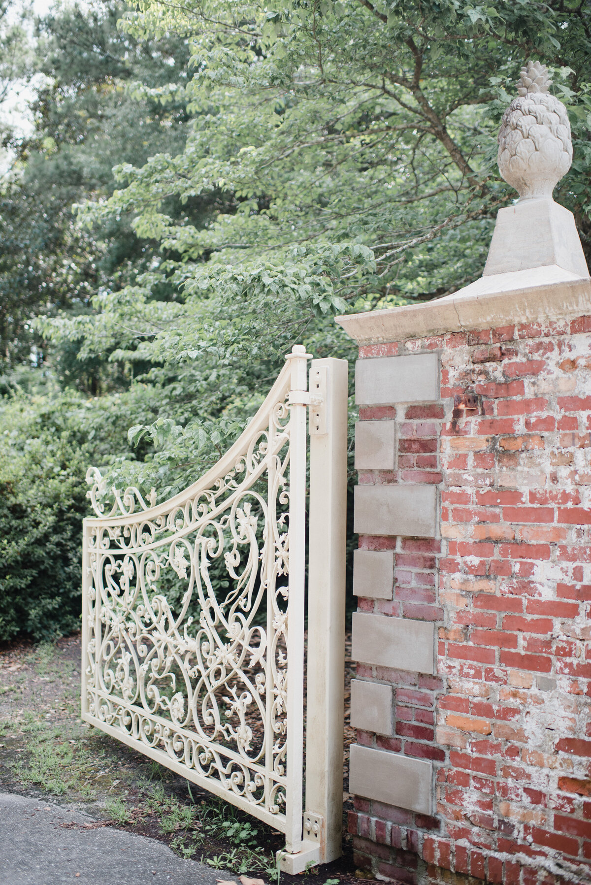 EmilyMillayPhotography_ClevelandPhotographer_7-9-2232