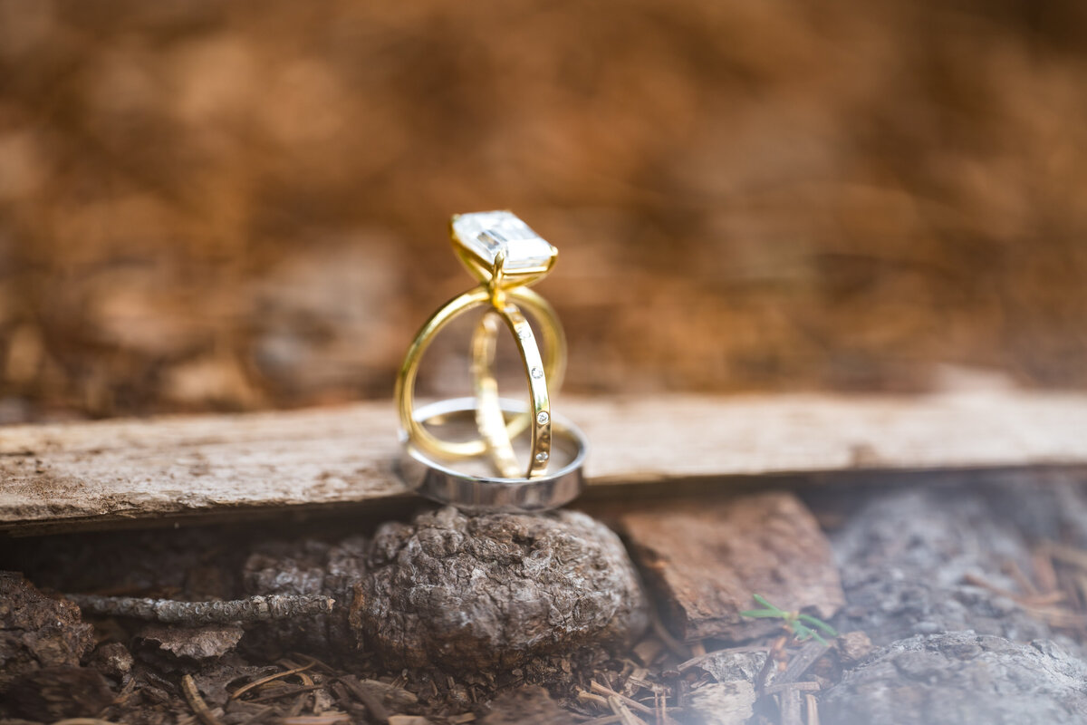 Mt Rainier National Park Elopement Photographer