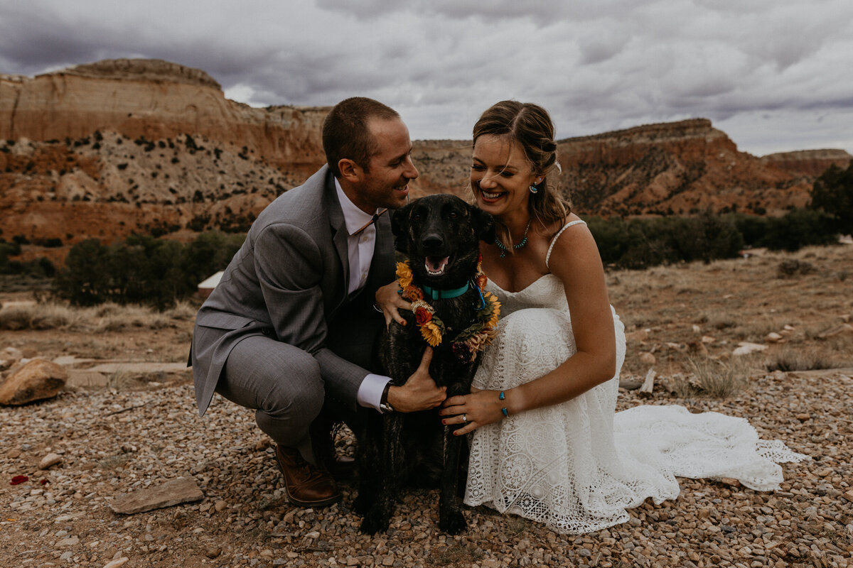 bride and groom with their dog wearing a flower collar