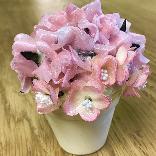 hybrid soap flower pot