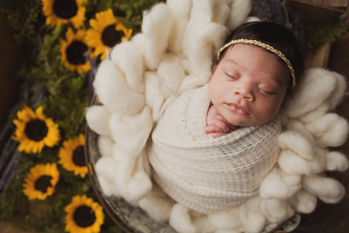 newborn portraits cleveland ohio