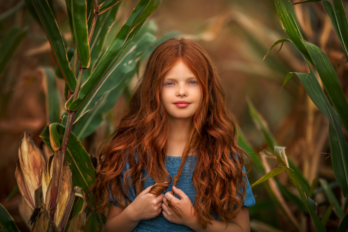 red head beauty is holding her orange hair in a corn field in Indiana