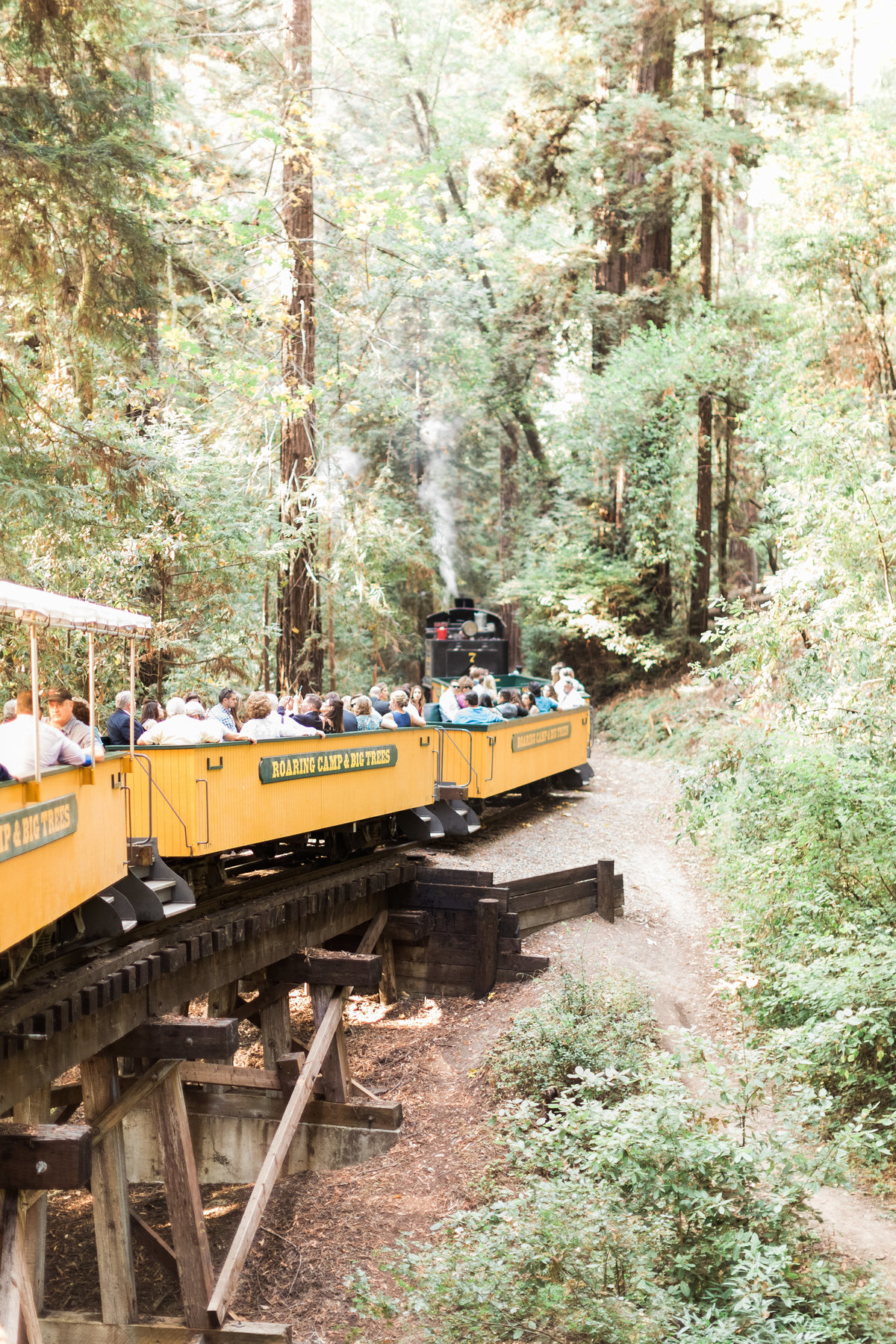 Roaring Camp Railroad Santa Cruz Wedding35