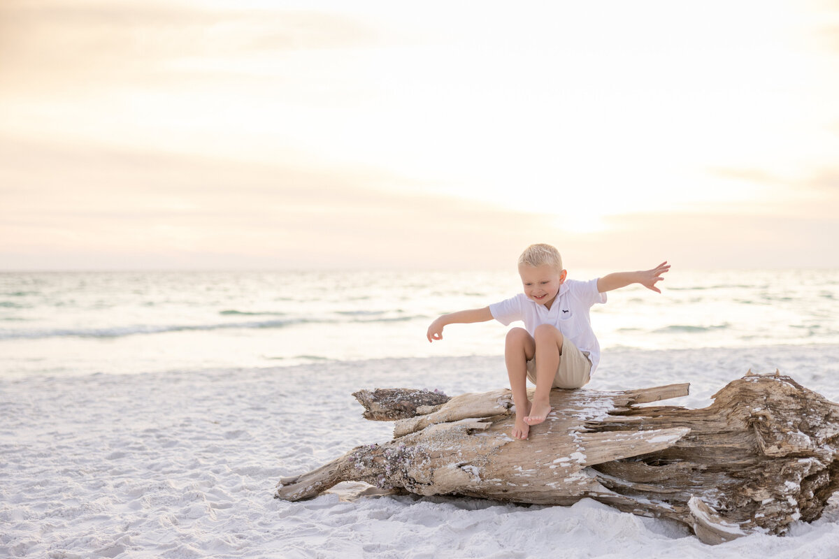 A small boy sitting on driftwood at the beach