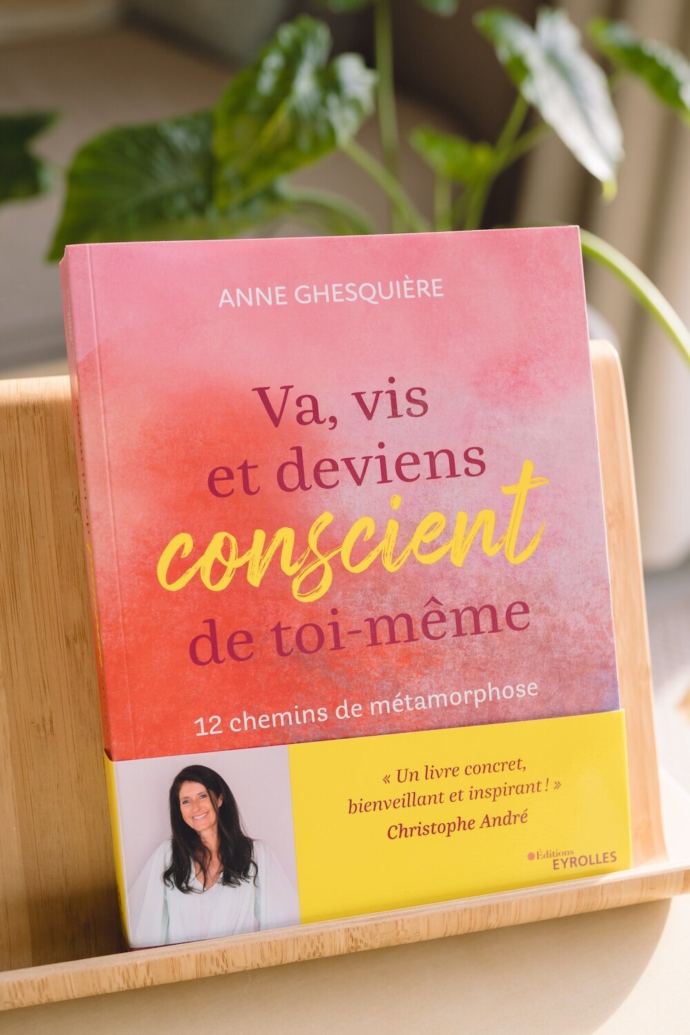 15-Livre-Anne-Ghesquiere