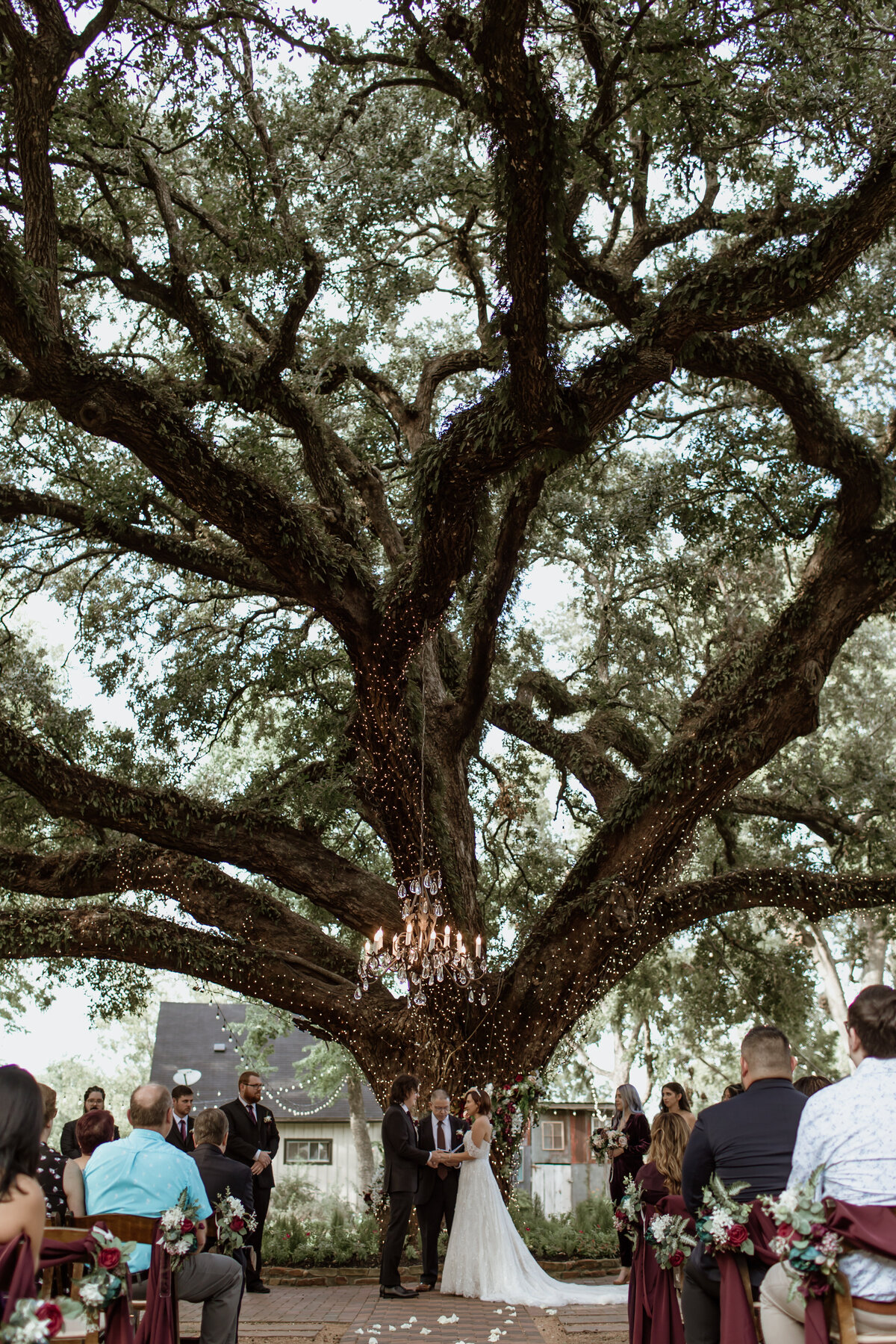 A ceremony under a 200-year-old oak tree at Oak Tree Manor in Spring Texas. Captured by Fort Worth wedding photographer, Megan Christine Studio
