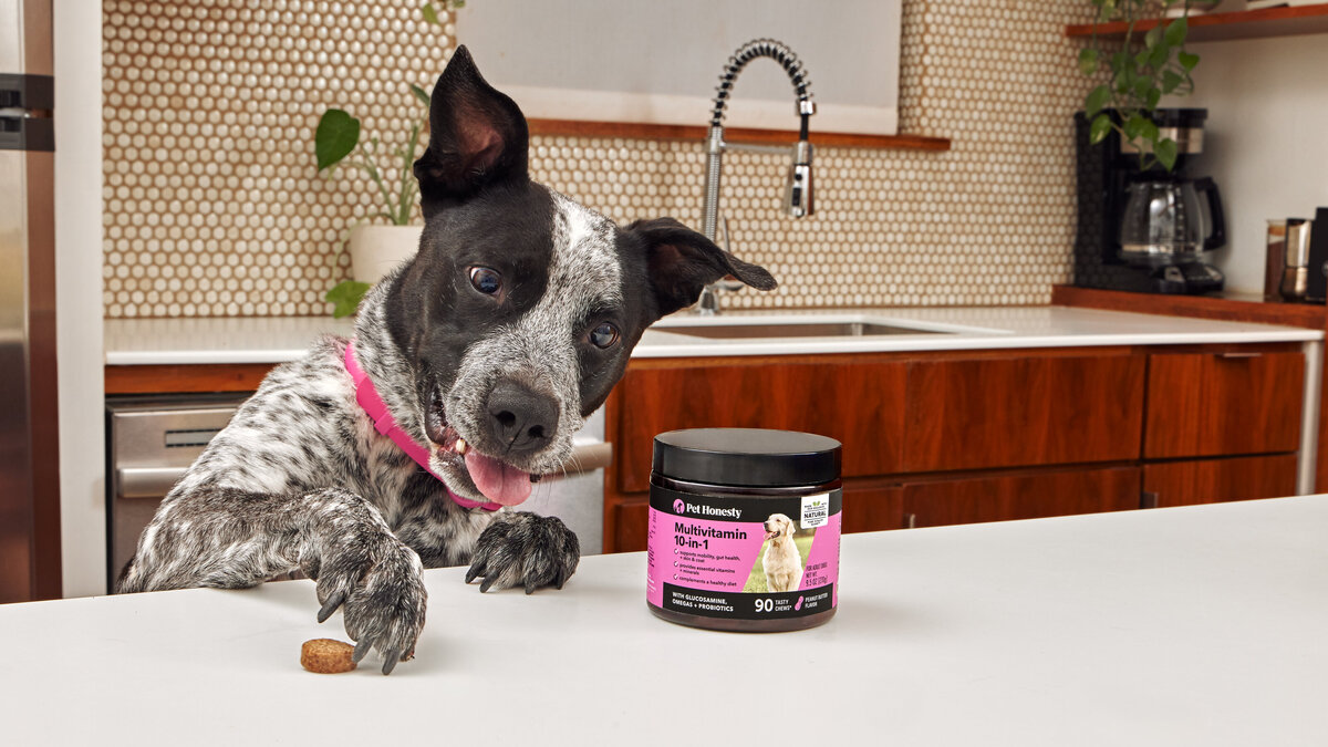 Copy of Pet Honesty_January 2024_Bonus - Kitchen_16x9