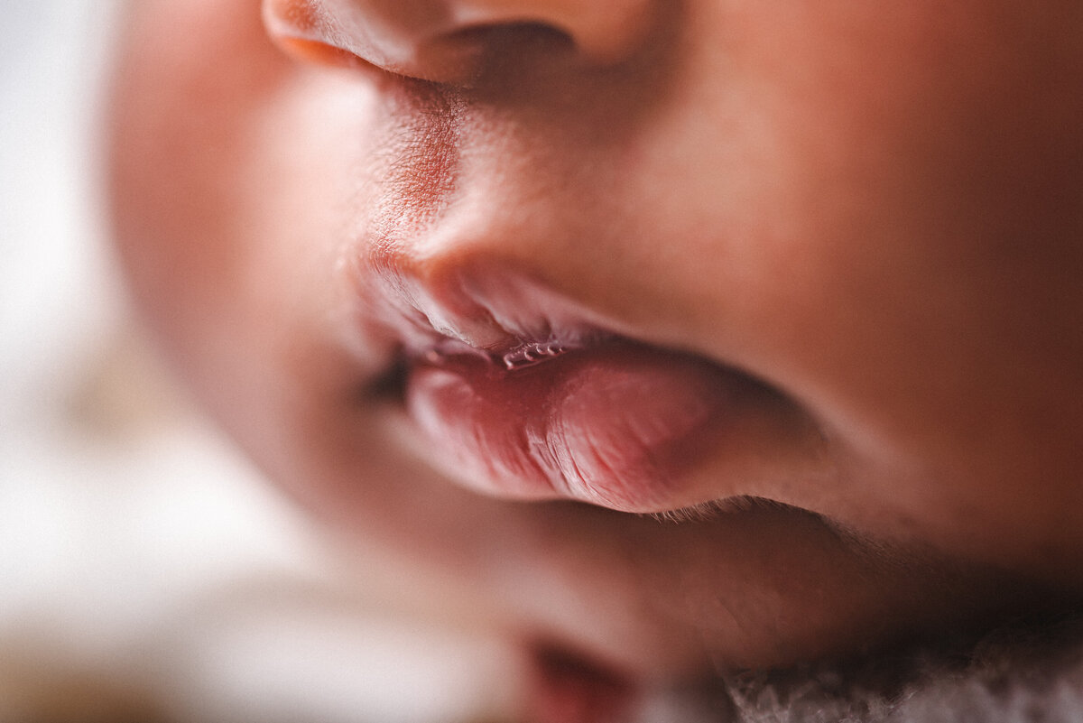 black durham newborn photographer