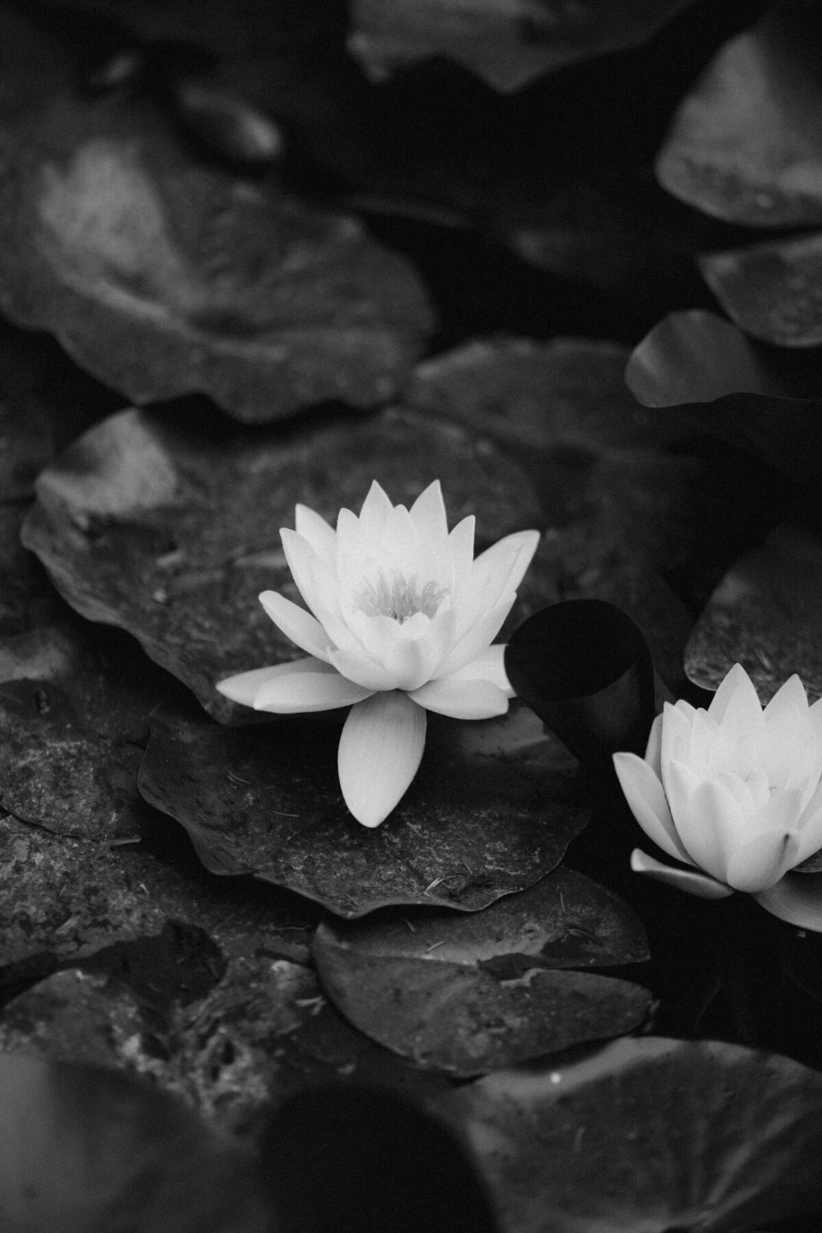 Weddings On Demand- destination wedding in Italy - F and S Tuscany 02