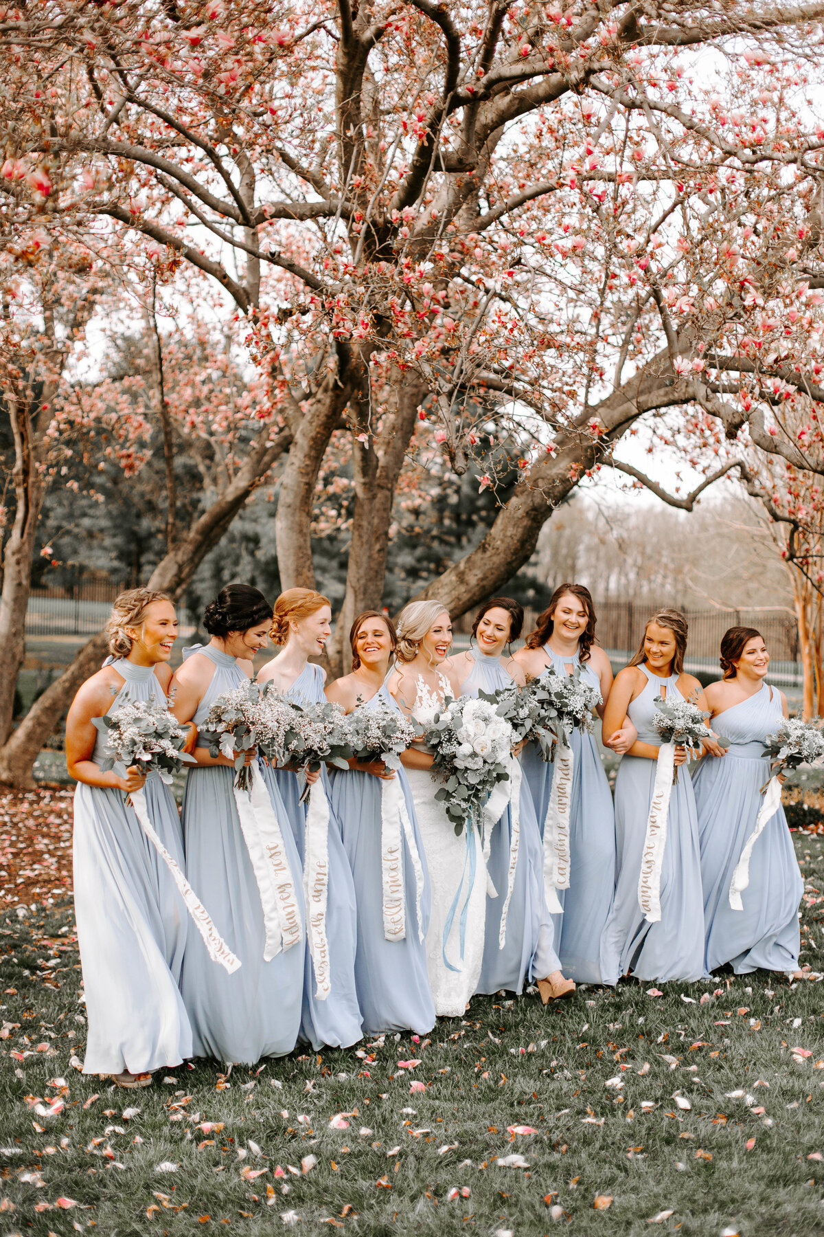 A bride surrounded by her bridesmaids as they stand under a pink blooming tree and pink petals are covering the ground