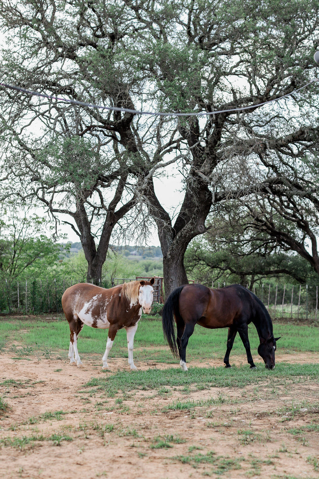 Lazy-S-Hacienda-Sarah-Block-Photography-Fort-Worth-Texas-131
