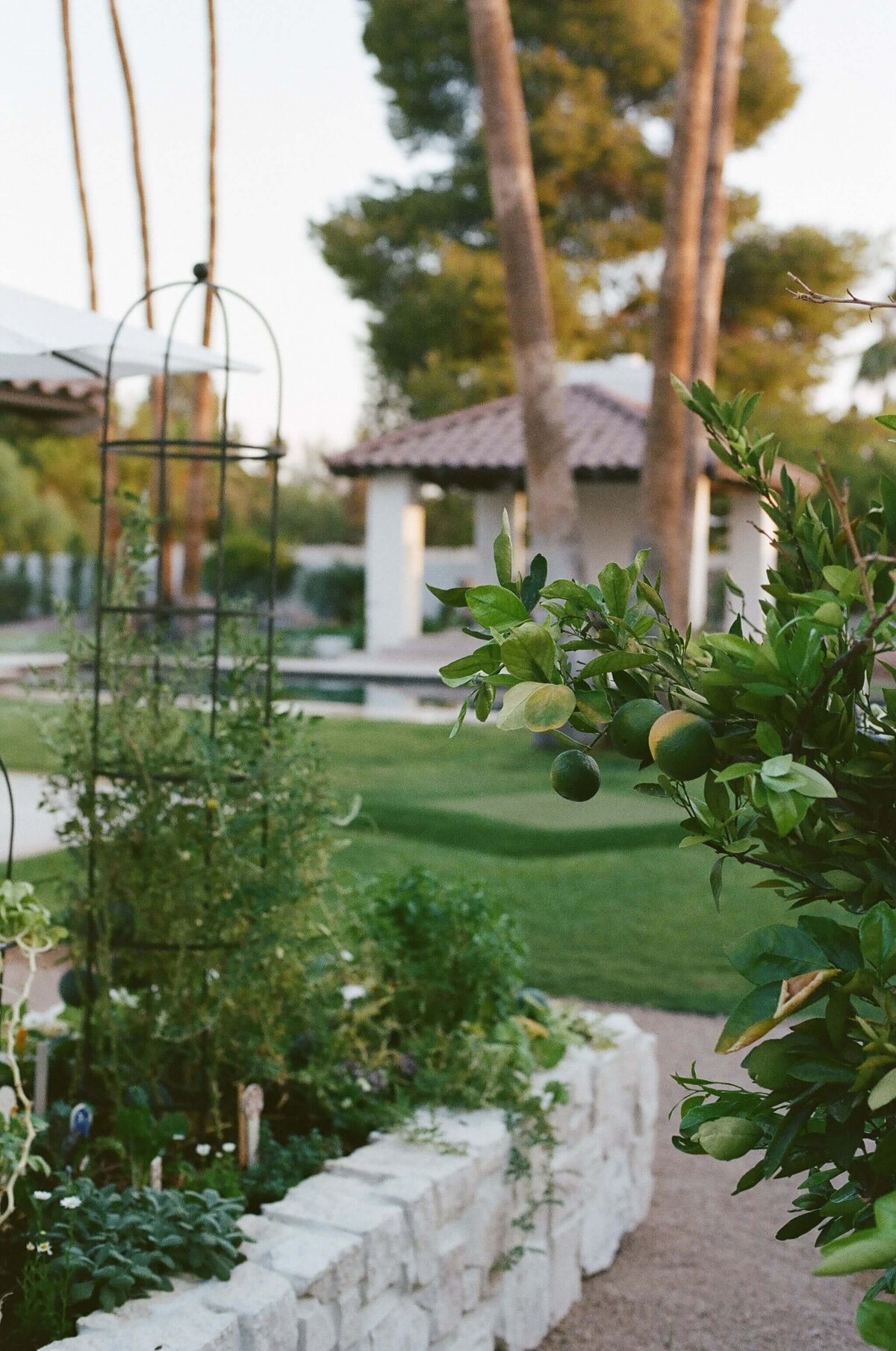 Home-Garden-Rasied-Garden-Beds-Hacienda