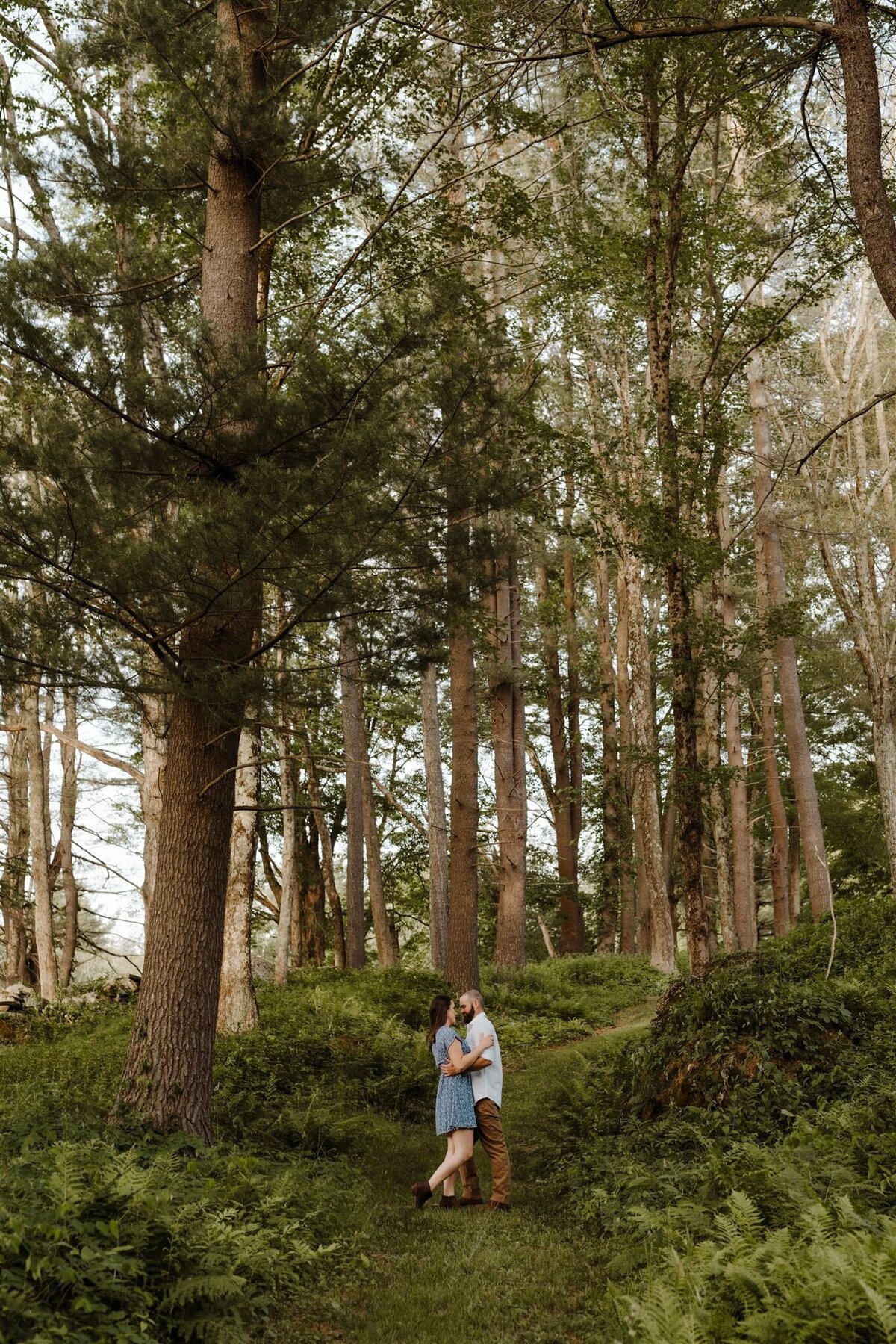 forest engagement photos