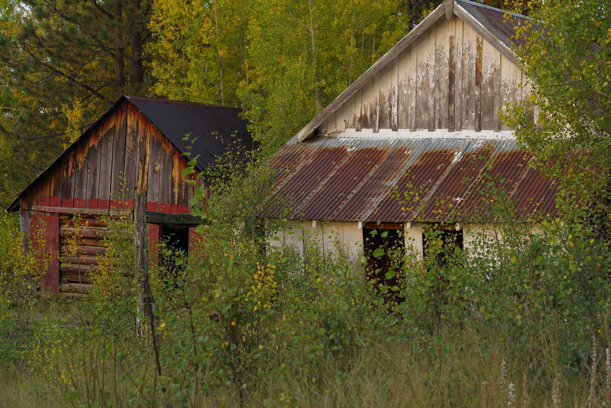 IMGP2162