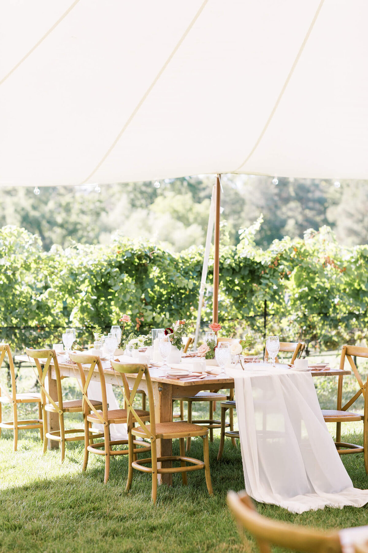 ravine vineyard wedding(11)