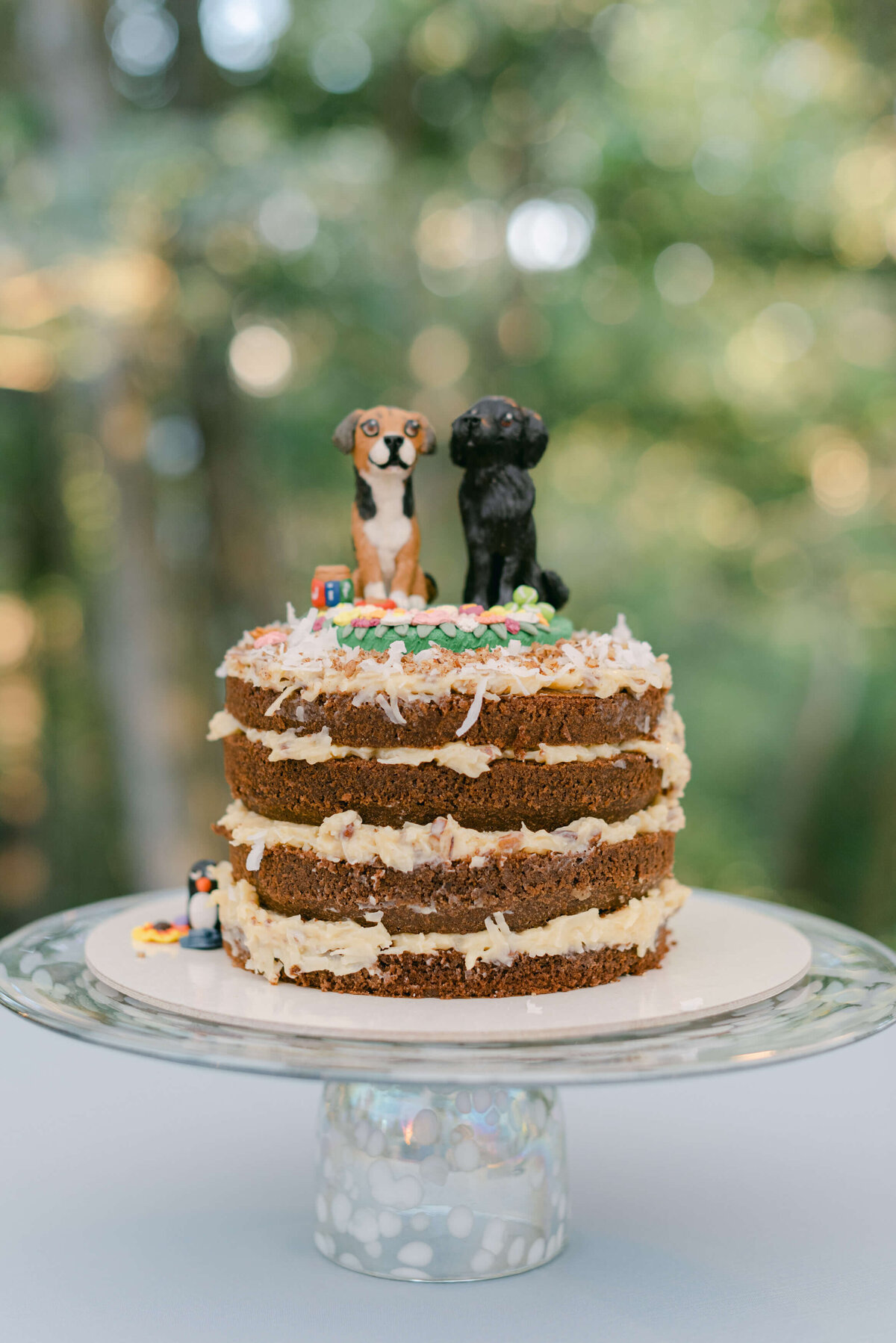 10_Cutting Cake with Dog Cake Toppers