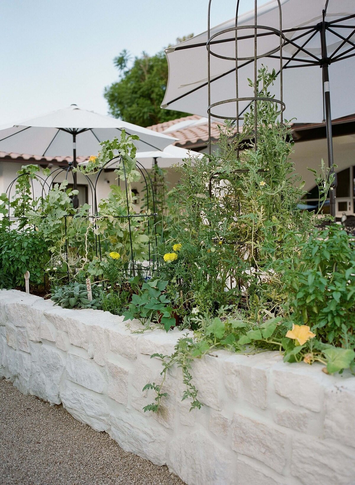 Potager-Lepotager-Garden-Umbrella-Hacienda