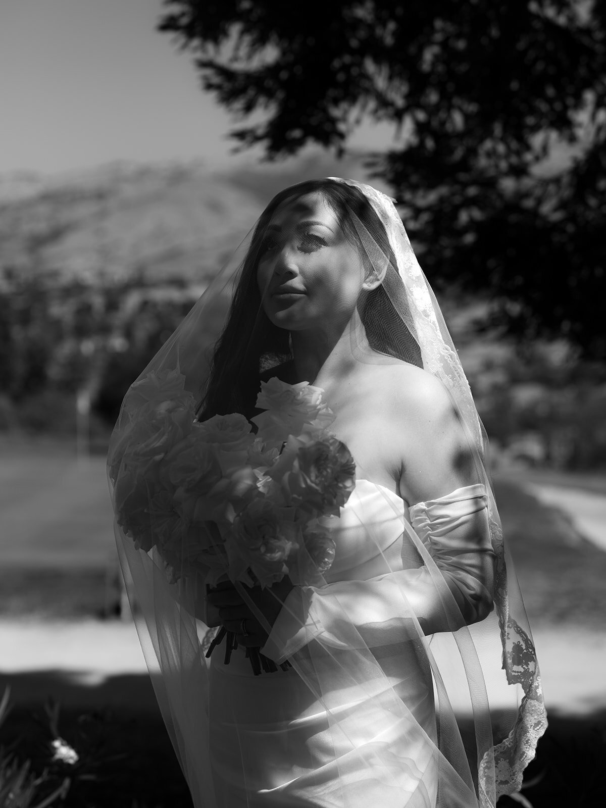 Coby & Alexandra Photos & Films- Silver Creek Valley Country Club Wedding V+D-3_websize