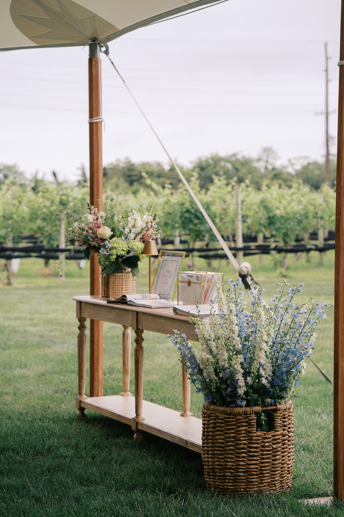 capemayphotographer-77
