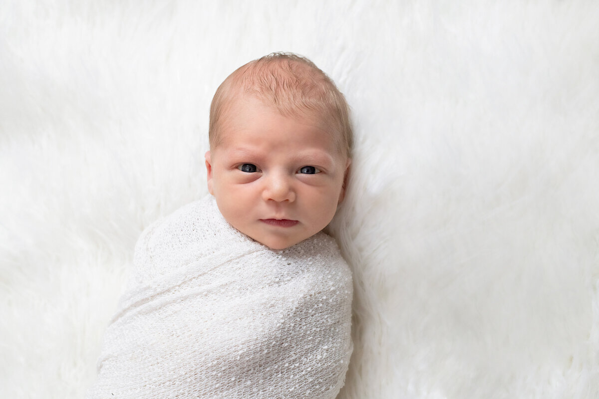 newborn-portraits-baby-white-wrap-cuyahoga-falls-photographer