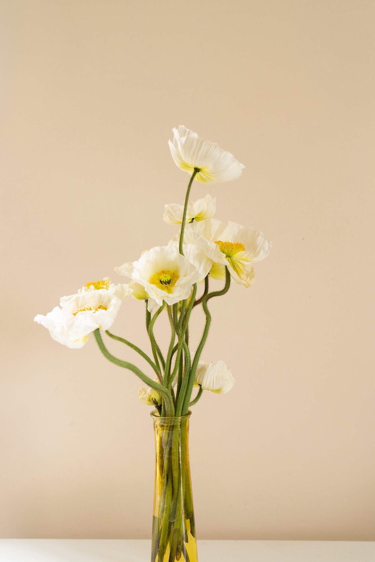 zoe-schaeffer-V_MV68oW3FE-unsplash