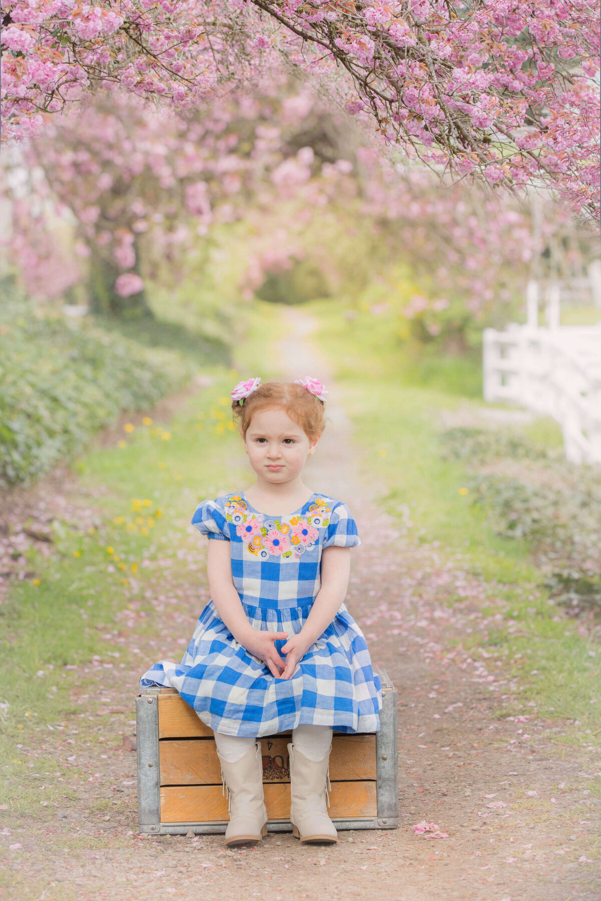 Little girl all dolled up in a archway of spring cherry blossoms