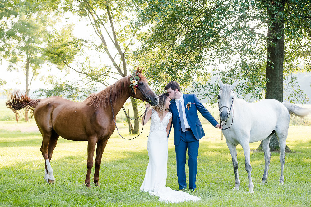 A bride and groom pose with a brown horse and a white horse for Kankakee IL wedding photographer