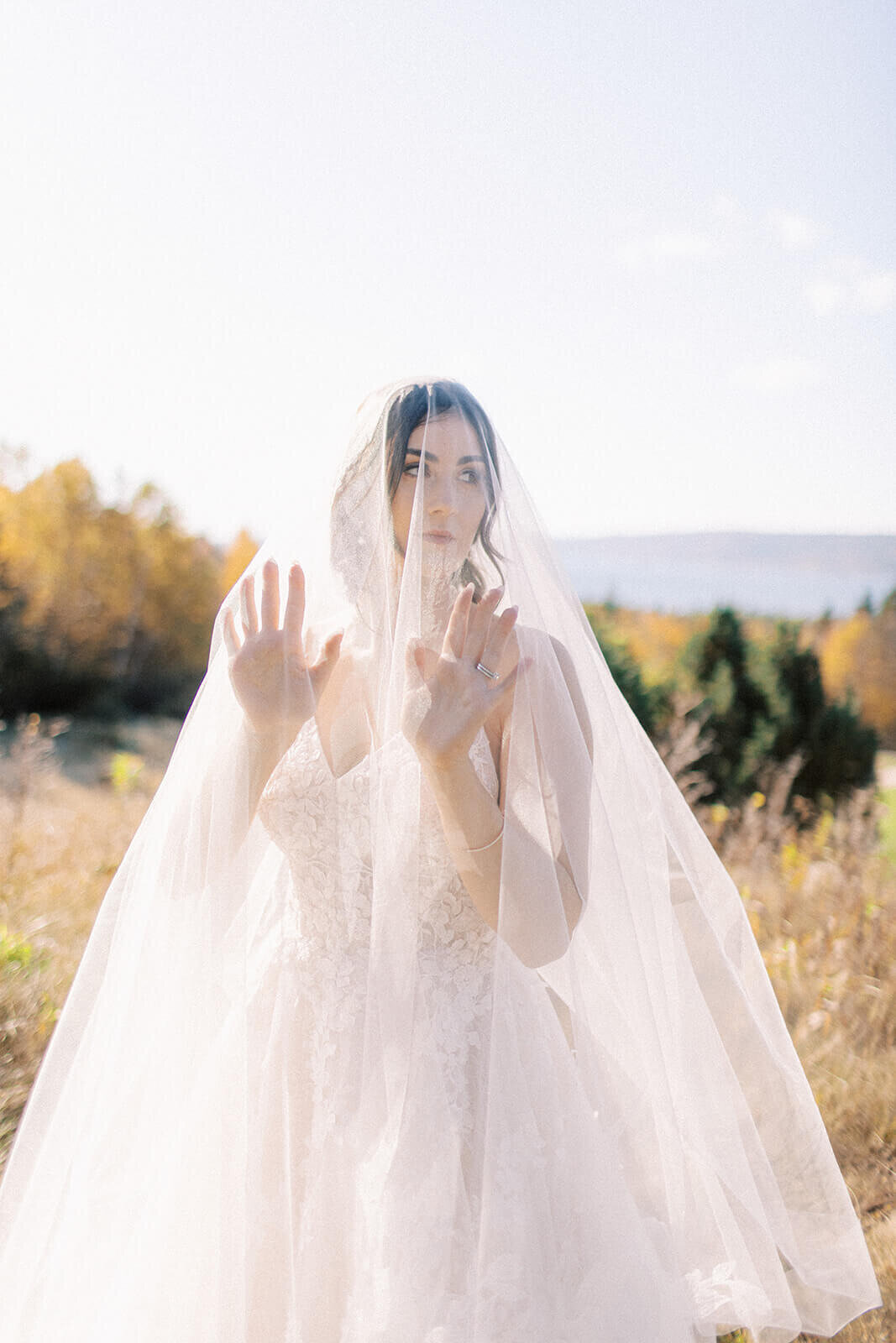 Bride-with-veil