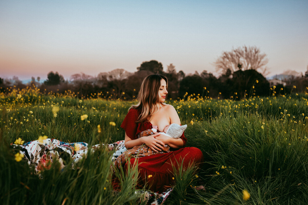 Mama breastfeeding her newborn baby girl in a field of mustard flowers