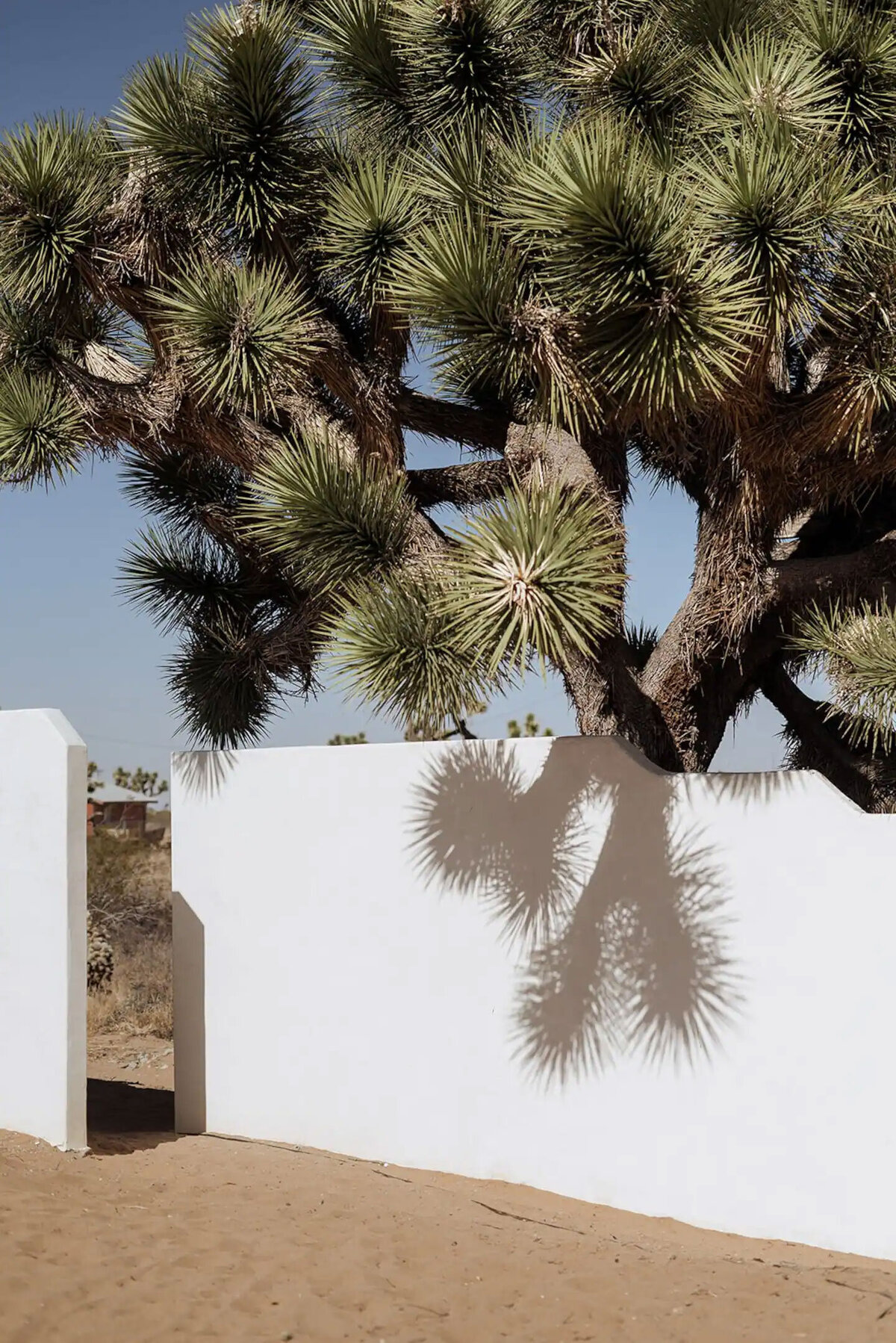 le-chacuel-airbnb-desert-exterior