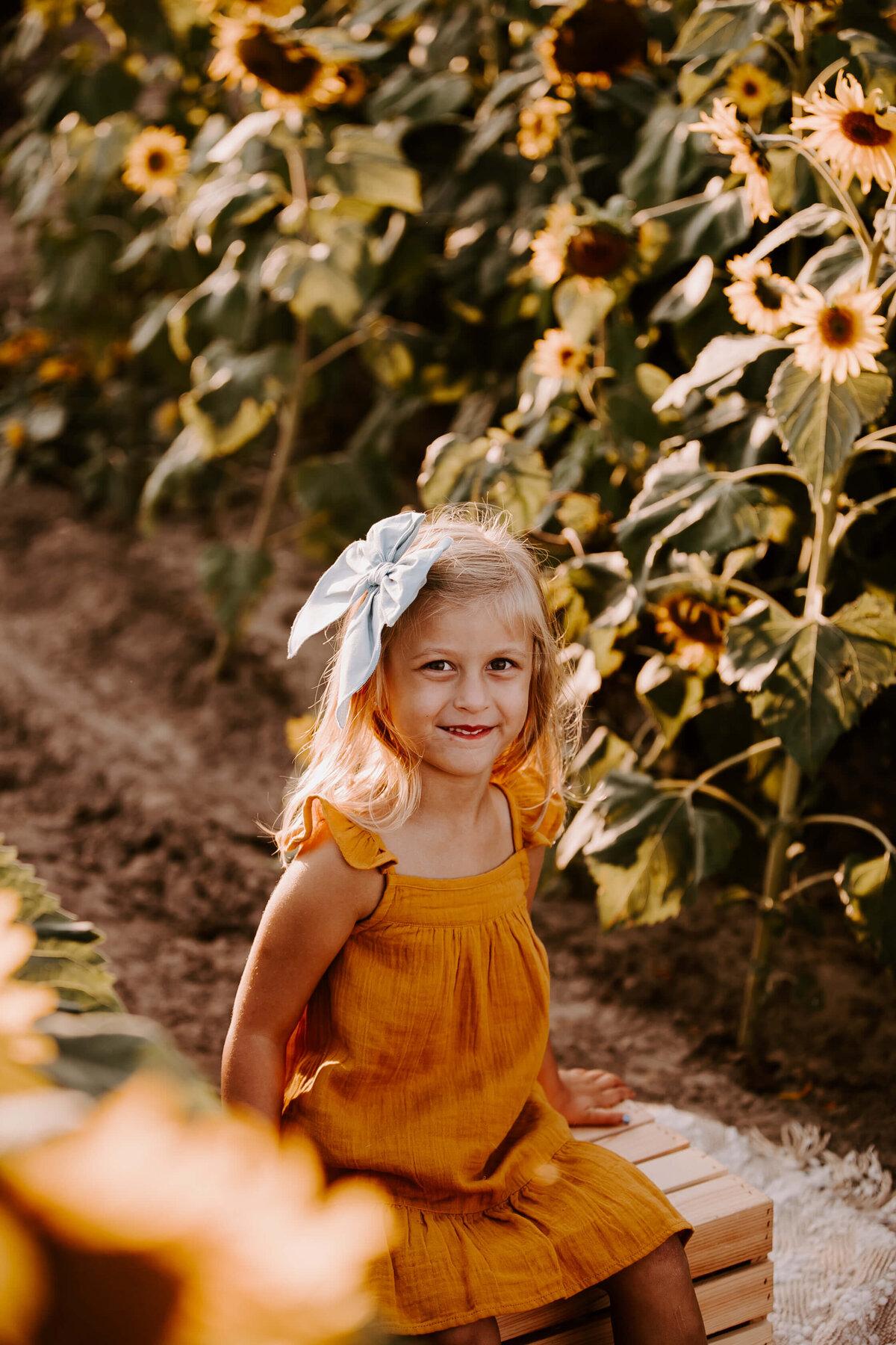 Sunflower-Field-Mini-Session-Family-Photography-Woodbury-Minnesota-Sigrid-Dabelstein-Photography-Thompson-39