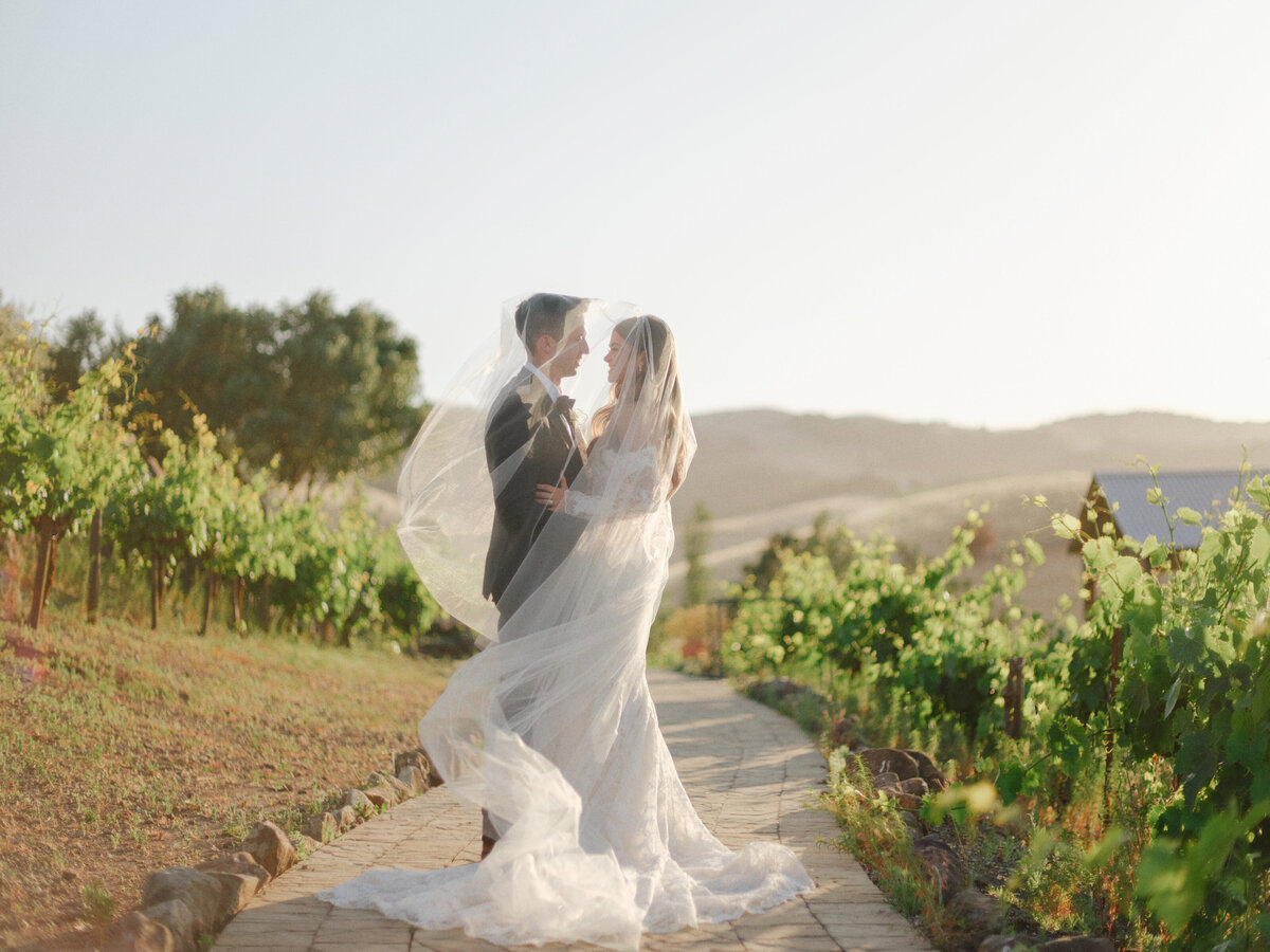Ashley + John Viansa Sonoma Winery Wedding Cassie Valente Photography 544