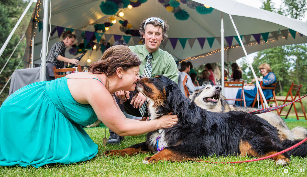 Doggie Kisses at an outdoor tent wedding reception at Fall River Estes park Condos