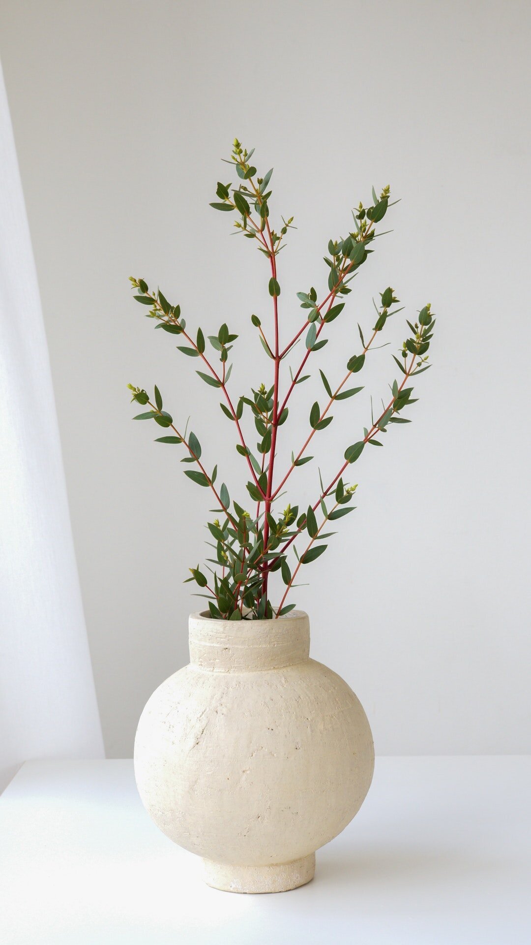 pexels-anna-nekrashevich-7815408