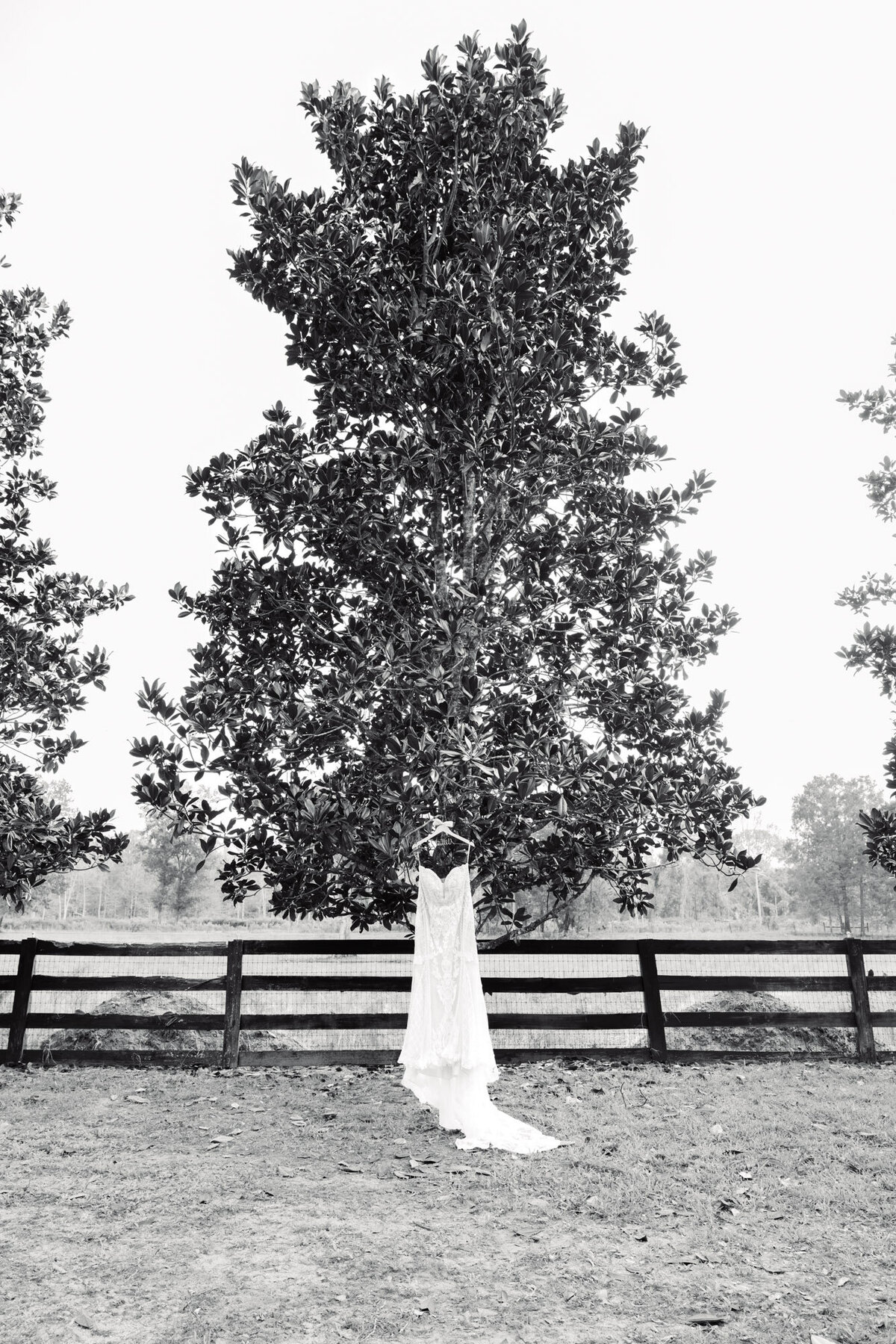 Michael and Mishka-Wedding-Green Cabin Ranch-Astatula, FL-FL Wedding Photographer-Orlando Photographer-Emily Pillon Photography-S-120423-4