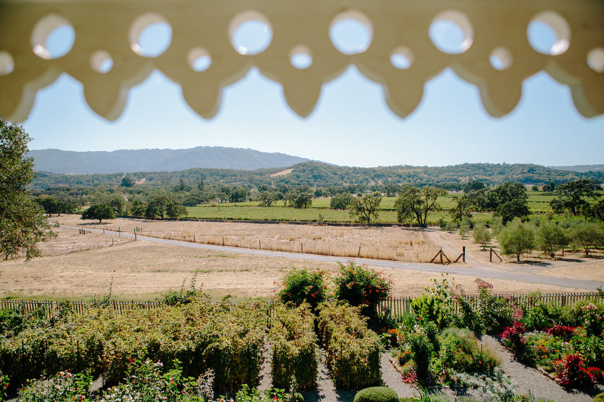 View from a wedding at Beltane Ranch, Sonoma..