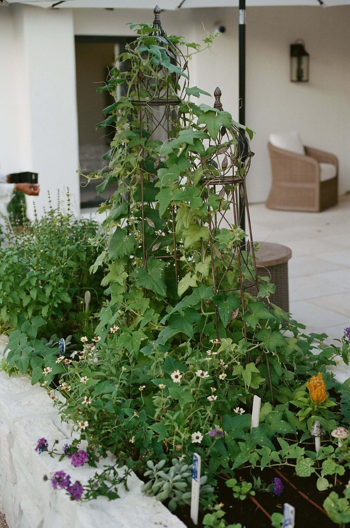 Kitchen-Garden-Grow-Food-Hacienda