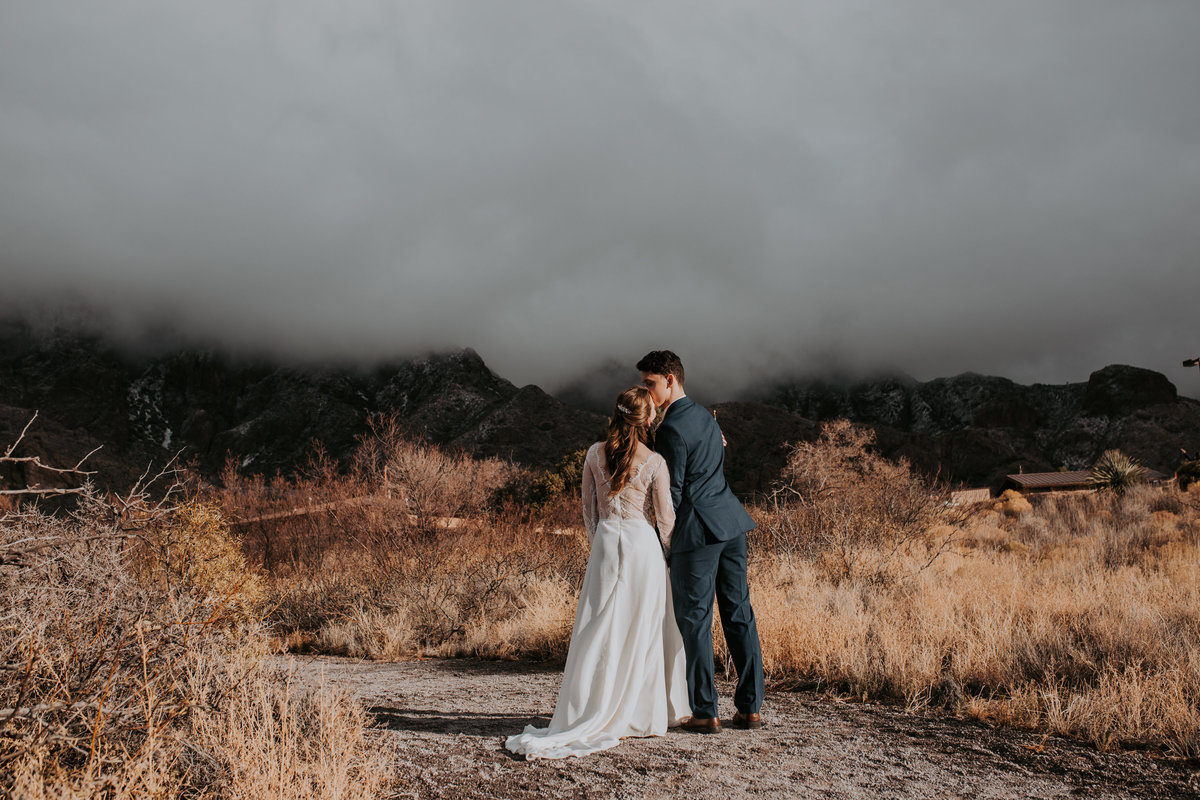 Daniel + Lydia - Las Cruces New Mexico Organ Mountains Snow Wedding Life In Tandem Photography - Bride + Groom-224