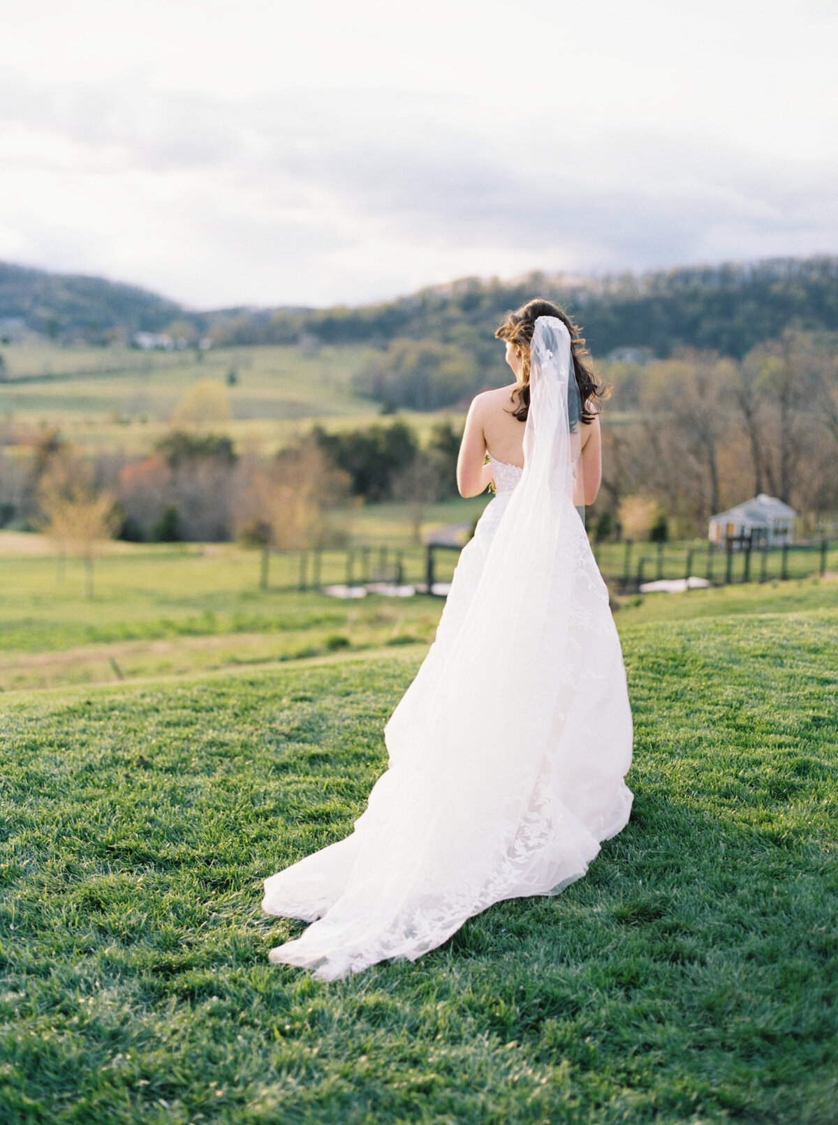 Pippin hill farms wedding-hannah-forsberg-charlottesville-film-wedding-photogrpaher-19